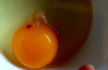 یک حقیقت مهم درباره لکه‌های قرمز و قهوه‌ای روی تخم‌مرغ
