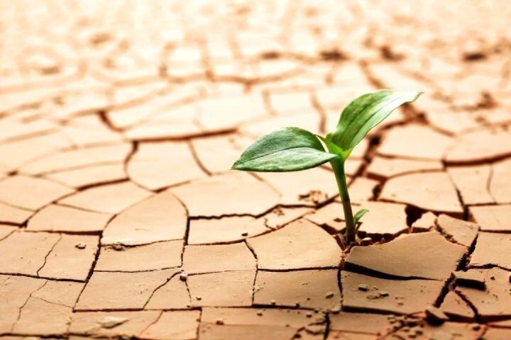 تهران تا «روز صفر آب» فاصله‌ای ندارد/ ۹۰ درصد منابع آبی پایتخت در بخش خانگی صرف می‌شود/ قطعا یکی از راهکارها تعطیل کردن استخرها است