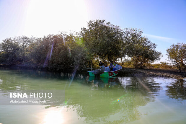 62217753_abdolvahed-mirzazadeh