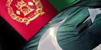 نخبگان افغانستان و پاکستان در قم بر تقویت برادری تاکید کردند