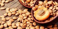 هسته این میوه دشمن شماره یک سلول های سرطانی است