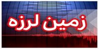 فوری/ بوشهر ۵ بار لرزید