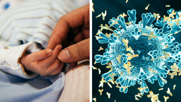 نوزادان واکنش ایمنی قوی نسبت به ویروس کرونا دارند