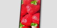 رونمایی از یک گوشی موبایل با نمایشگر بدون لبه
