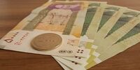 جزئیات ثبت نام از متقاضیان ثبت نام یارانه نقدی و معیشتی

