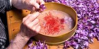 صادرات زعفران ایرانی چقدر شد؟