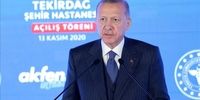 سفر اردوغان به قبرس غیرقانونی بود؟
