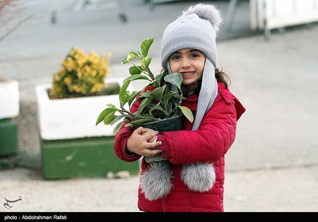 نمایشگاه گل همدان
