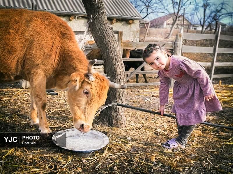 تصاویر| زندگی آرام در قلب قفقاز