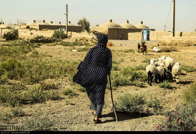 سیستان عکس: اکبر توکلی