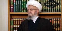 آیت‌الله مکارم شیرازی رأی خود را به صندوق انداخت+عکس