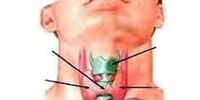 خطر نزدیک است؛ خشونت صدای دوهفته‌ای را جدی بگیرید