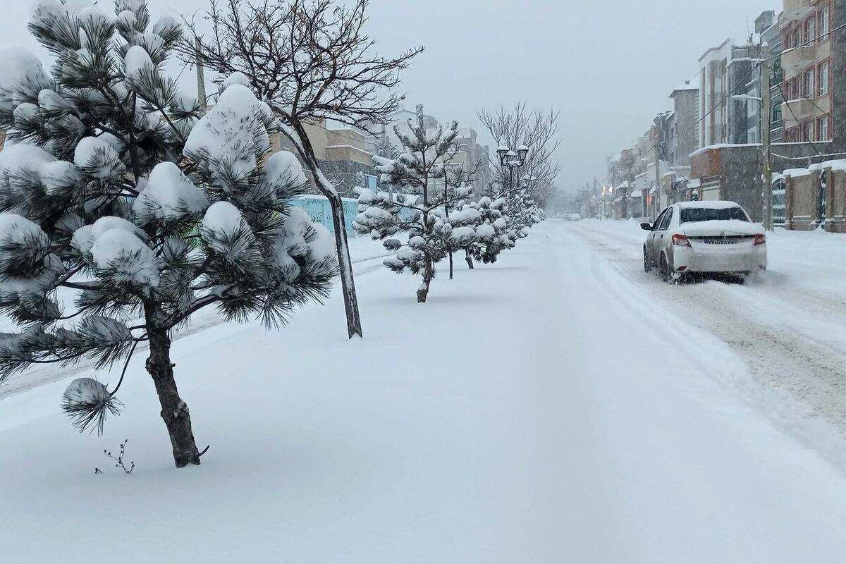 دردسر بارش سنگین برف در این شهر/ برق ساکنان قطع شد