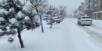 مازندران برفی می شود