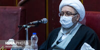  آملی لاریجانی: واردات خودرو به حمایت از تولید داخلی ضربه نمی زند