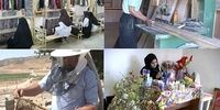 رییس کمیسیون تولید ملی مجلس:لایحه اصلاح قانون تعاون را از مجلس پس بگیرید