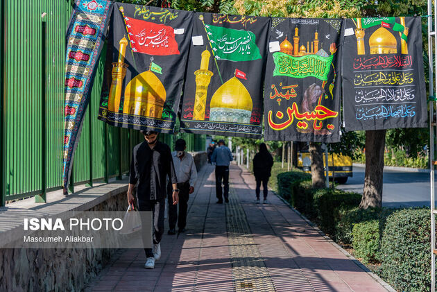 62340578_aliakbar-7