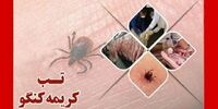 هشدار؛ جولان پرشتاب تب کریمه کنگو در یک استان جنوبی 