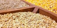 جهش چشمگیر قیمت نهاده های دامی متاثر از جنگ اوکراین 