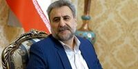 فلاحت‌پیشه: توافق ایران و آژانس تنها روزنه موجود برای حفظ دیپلماسی بود