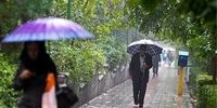 بارش باران دراین استانها از امروز تا شنبه
