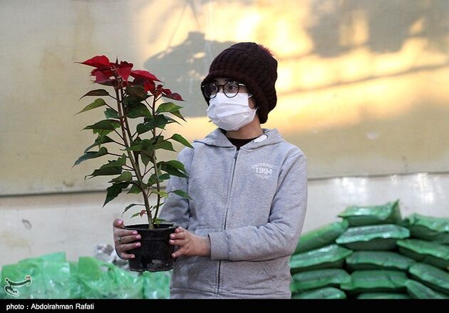 نمایشگاه گل همدان