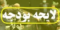متن لایحه بودجه ۲۴۶۲هزار میلیارد تومانی سال ۱۴۰۳ منتشر شد
