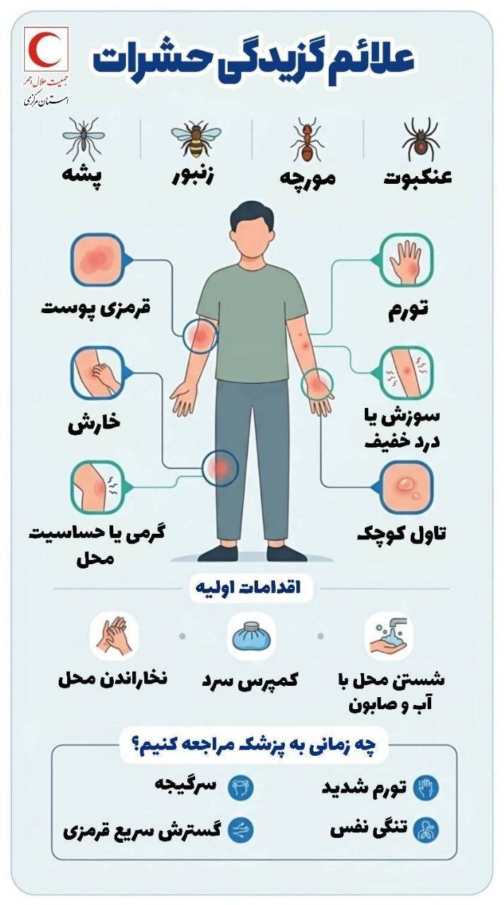 این علائم را در بدن جدی بگیرید؛ درچه شرایطی بعد از گزیدگی باید به پزشک مراجعه کرد؟