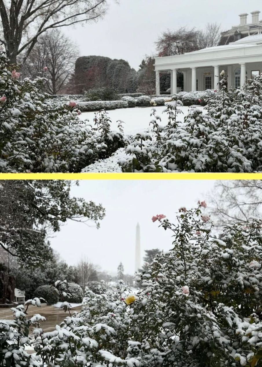 عکس‌های کریسمسی تیفانی ترامپ و همسرش در کاخ سفید