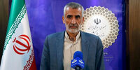 معاون امنیتی وزیر کشور: بازگرداندن همسر و دختر علی دایی، اقدامی قانونی بود