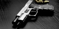 اعلام وصول لایحه اصلاح قانون بکارگیری سلاح در مجلس