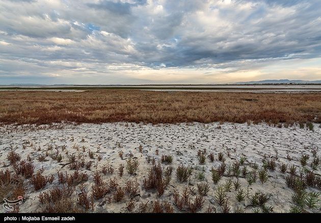 مرگ تدریجی دریاچه ارومیه