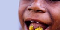 چندش‌آورترین غذاهای دنیا را بشناسید/ از سوسیس خون تا سوپ تخم مورچه+ تصاویر
