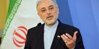 اصول اجرای فرمان هسته ای رهبر انقلاب/زیرساخت‌ها برای ۱۹۰هزار سو آماده است