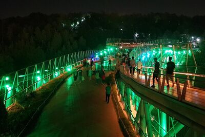 «پل طبیعت» امشب نورافشانی می‌شود