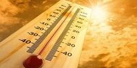 پیش بینی هواشناسی امروز 19 خرداد/ گرد و خاک در آسمان این استان ها