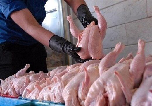 قیمت مرغ در شب یلدا گران می‌شود؟