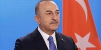 خبر خطیب‌زاده از سفر چاووش اوغلو به تهران