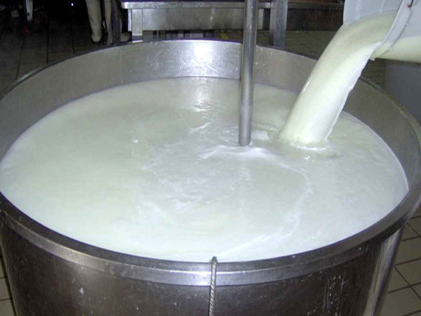 تصمیم دولت برای قیمت شیر خام تا پایان سال 