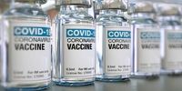 دادگاه هند فروش و صادرات واکسن کرونا به ایران را ممنوع کرد
