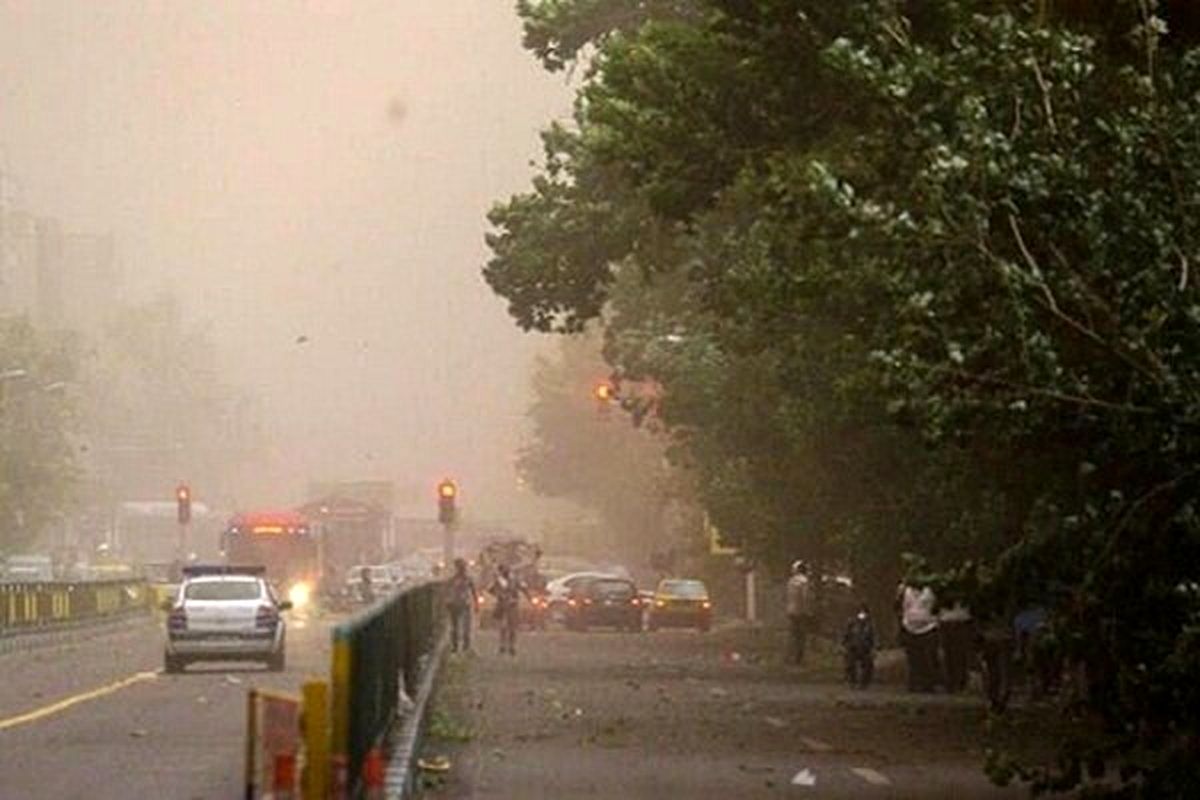 طوفان شدید در تهران/ درخت در خیابان دانشگاه تهران سقوط کرد+فیلم