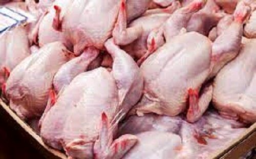 قیمت مرغ باز هم افزایش پیدا می‌کند؟