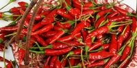 دلیل مرگ زودهنگام علاقمندان به غذاهای تند