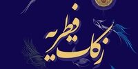 اعلام میزان زکات فطره توسط آیت‌الله شبیری‌زنجانی