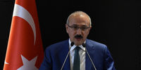 وزیر دارایی ترکیه از سوی اردوغان برکنار شد