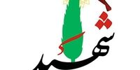 یک پاسدار سپاه پاسداران به شهادت رسید+ عکس