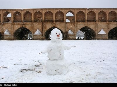 تصاویر| زیبایی های بارش برف در اصفهان و مشهد 
