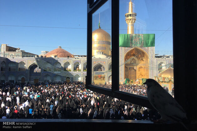 آیین تعویض پرچم گنبد امام رضا (ع)