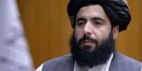 طالبان: افغانستان برای هیچ کشوری خطر و تهدید نیست