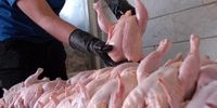 توزیع مرغ ۲۸ هزار و ۵۰۰ تومانی در بازار/ روند قیمت‌ مرغ کاهشی شد